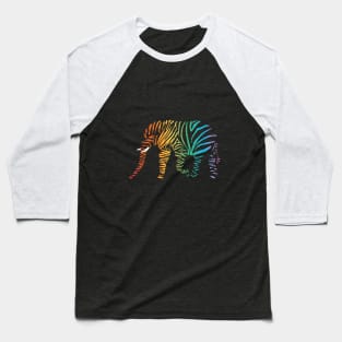 Diversity Baseball T-Shirt